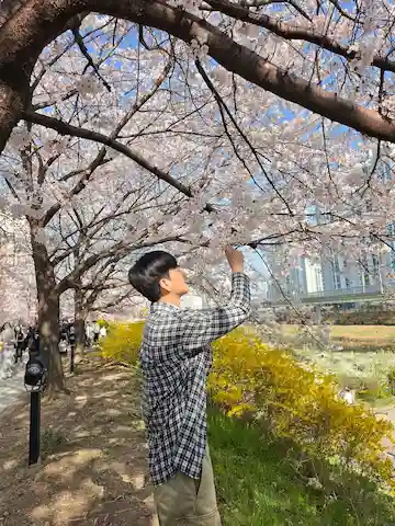 Dịch vụ thuê xe riêng du lịch Hàn Quốc VietGoGo review